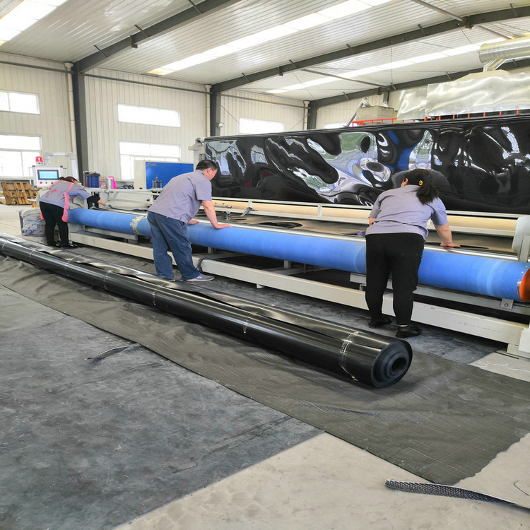 2个毫米厚HDPE膜