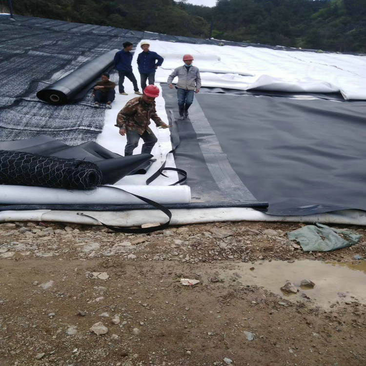 广东2.0mm高密度聚乙烯膜