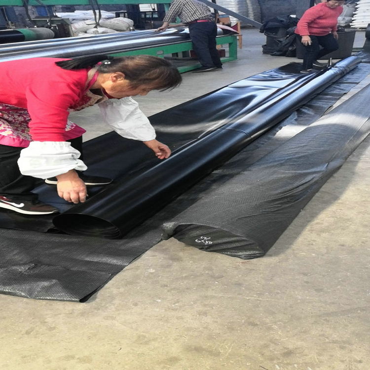 贵州0.5厚防潮层PE膜