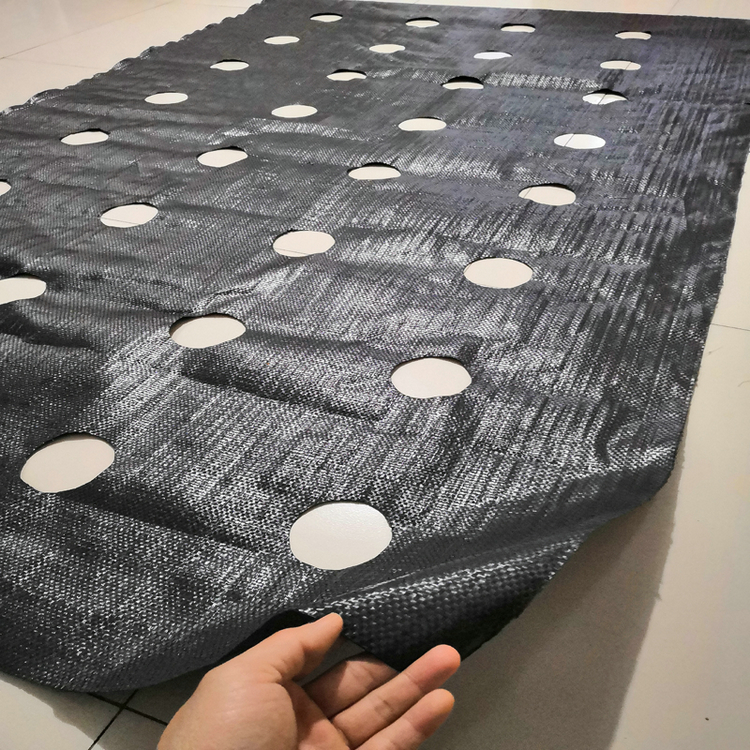 河北火龙果园除草地布