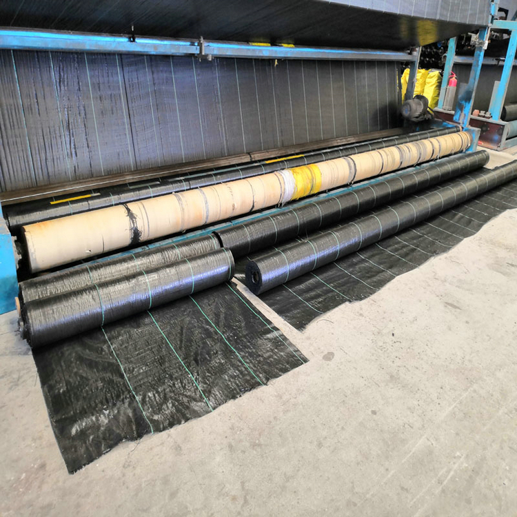 内蒙古苗木栽培盖草地布