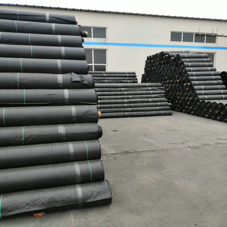 海南火龙果园除草地布