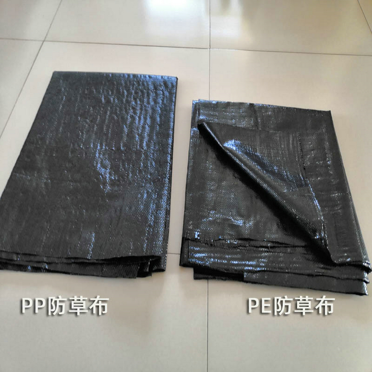 广西桑葚园防草布