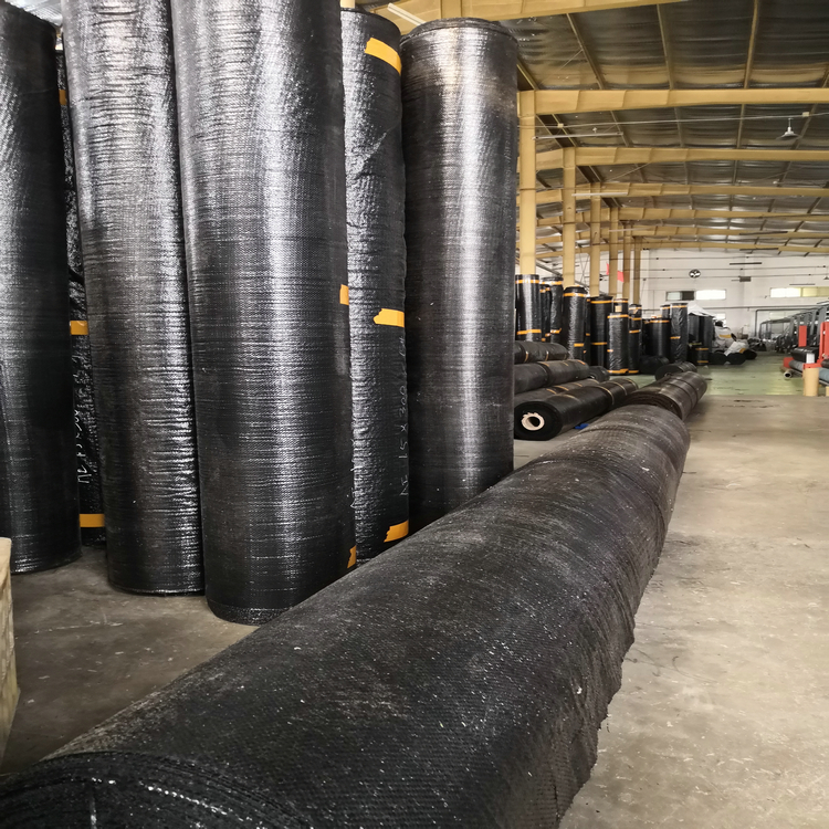 内蒙古苗木栽培盖草地布