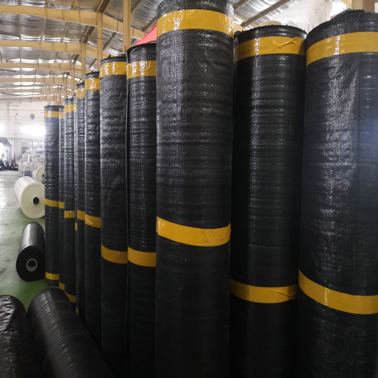 江苏火龙果园除草布