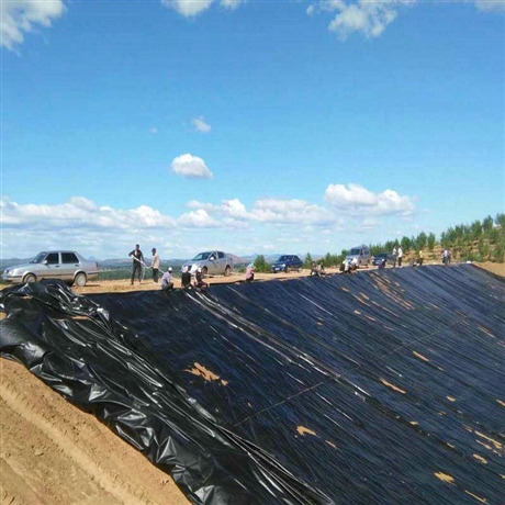 湖北1.5厚HDPE膜_1.5厚防水层PE膜