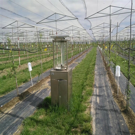 陕西温室大棚防草布 透水防草布