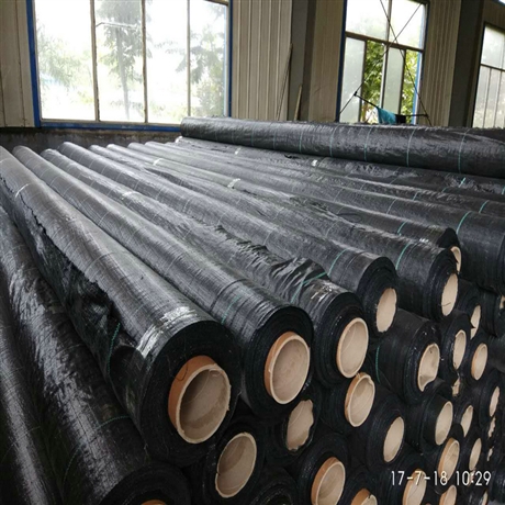 辽宁育苗基地防草布 果树防草布