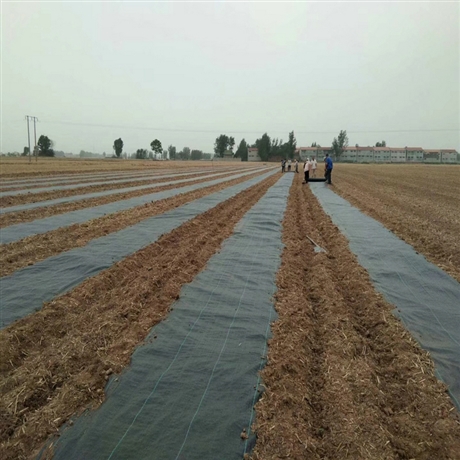 重庆大棚种植除草地布 德旭达牌耐老化除草地布