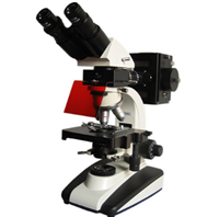 彼爱姆BM-20Y落射荧光显微镜 荧光显微镜 倒置生物显微镜 高倍率显微镜 电子显微镜