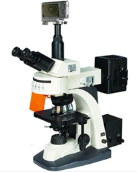 彼爱姆BM-21AYS落射荧光显微镜 荧光显微镜 倒置生物显微镜 高倍率显微镜 电子显微镜