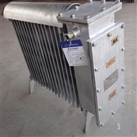 煤矿用隔爆型电热取暖器  RB2000/127电热取暖器  加热取暖装置