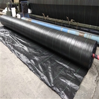 内蒙古苗木栽培盖草地布 PP材质盖草地布