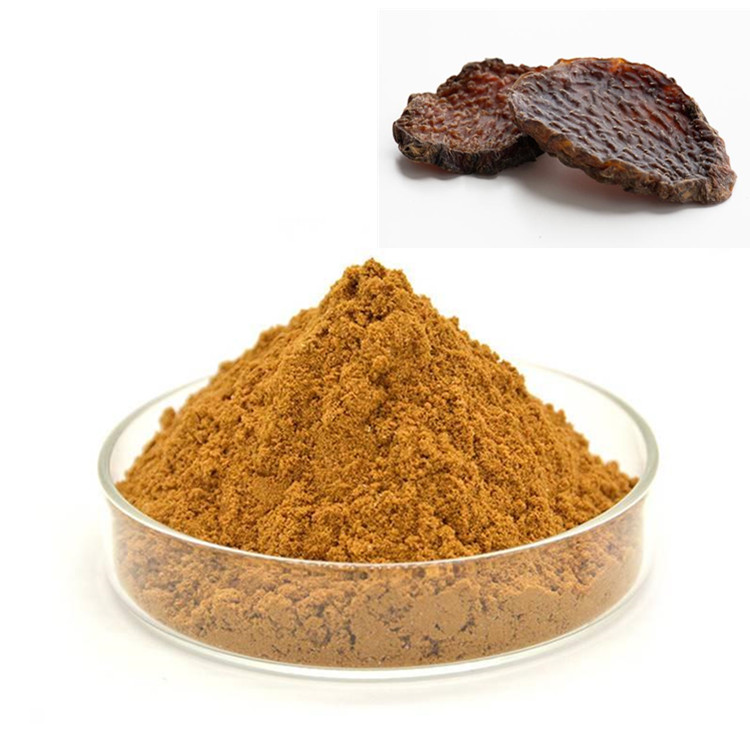 斯诺特水溶肉苁蓉粉多比例浓缩喷雾干燥可定制液体