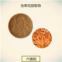蟲草花提取物 寶雞六盤韻 蟲草多糖