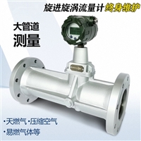 丰辉 旋进漩涡流量计 LUX天然气旋进旋涡流量计