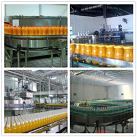广西柚子饮料生产设备 新鲜柚子饮品加工设备厂家 泌阳中意隆