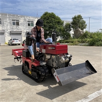 小型乘坐式履带旋耕机 小型履带式耕地机