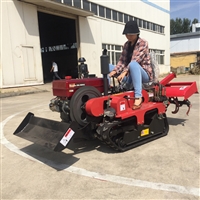 25马力旱地大棚旋耕机 小型旋耕机 大棚低矮作物旋耕机