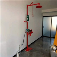 天津复合式冲淋洗眼器 天津不锈钢立式洗眼器 天津紧急冲淋洗眼器