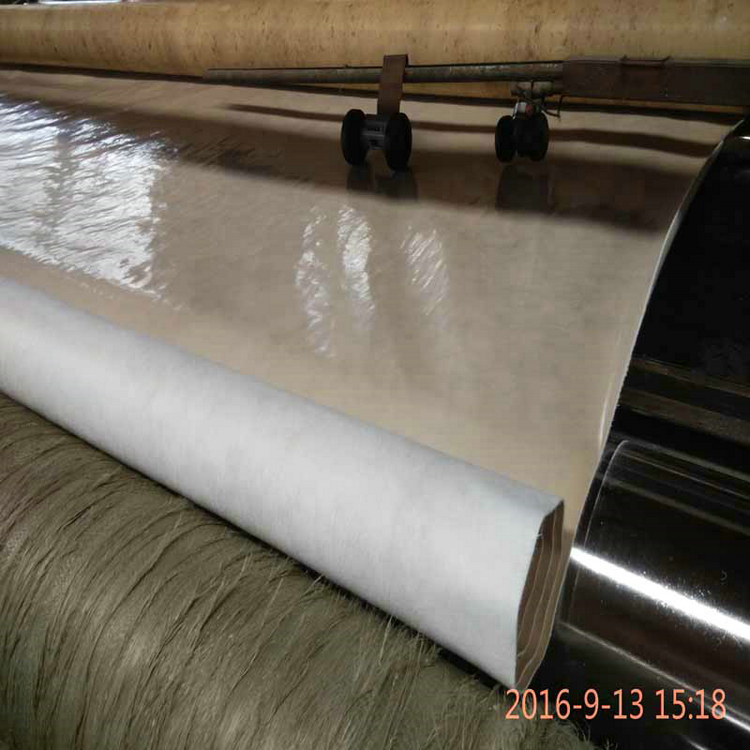 河南400克PE土工膜