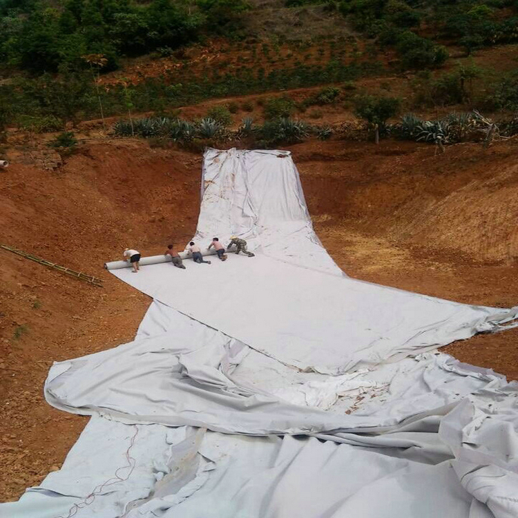 山东400g非织造布复合土工膜