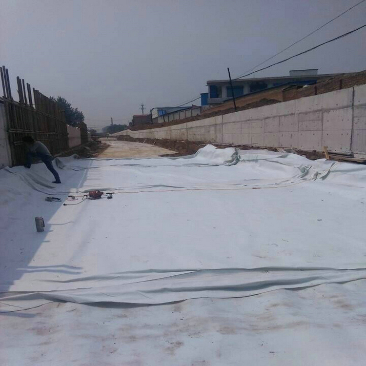 河南400克PE土工膜