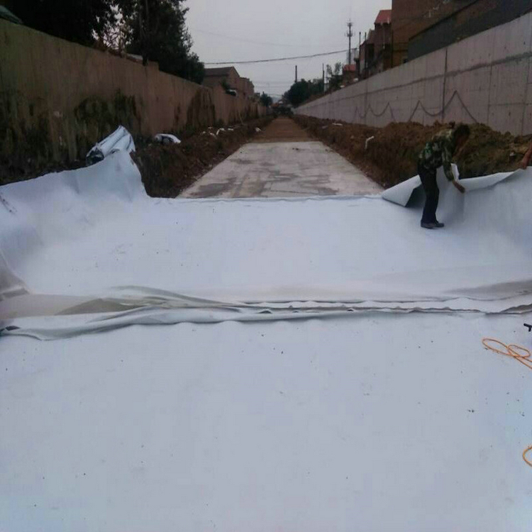 河南400克PE土工膜