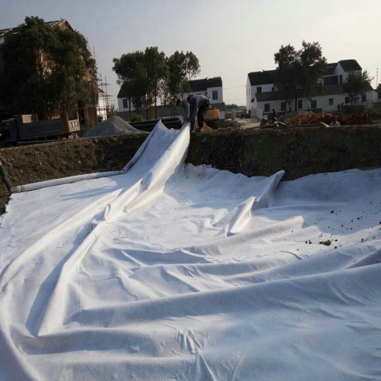 山西400gPE复合土工膜