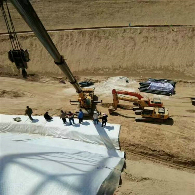 天津300g防渗土工布_聚乙烯土工膜300g