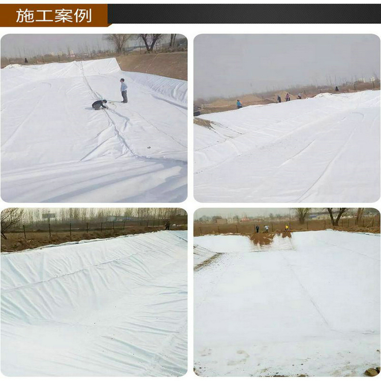 湖南300克土工膜_SN2/PE复合土工膜300克
