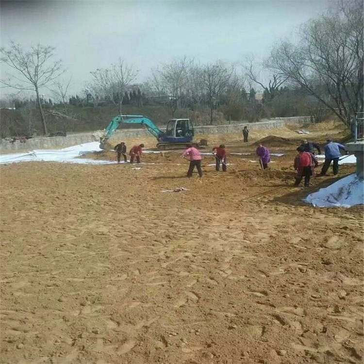 天津400gPE土工膜