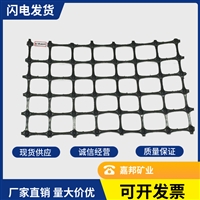 矿用塑料假顶网 JDPP30-30MS矿用护帮网 煤矿井下用矿用土工格栅