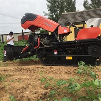 50马力大棚王履带拖拉机 河南农用履带拖拉机 大马力大棚履带拖拉机