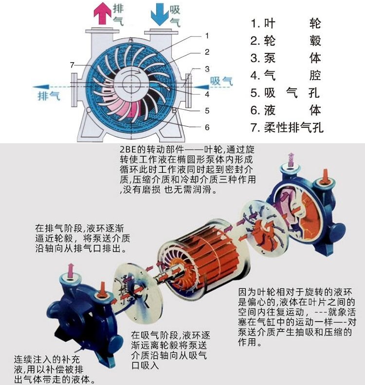 水环式真空泵解体图图片