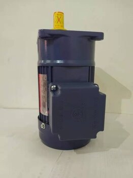 厦门东历电机PF18-0100-10S3，厦门东历马达，