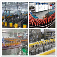 草莓黄桃罐头生产线 中小型水果罐头加工设备-中意隆原厂销售
