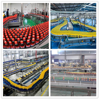 薄皮香瓜饮料加工设备 时产2吨白甜瓜饮料生产线 中意隆机械