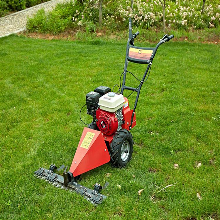 小型除草机手推剪草机肩挂式省油