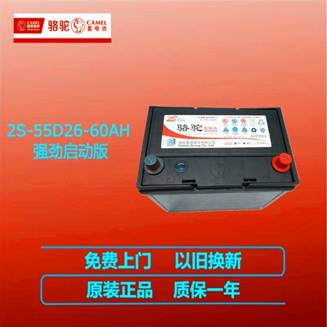 惠州骆驼蓄电池55D23适用雅阁思铂睿凌派缤智逸致汽车电池