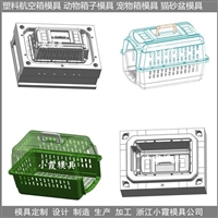 中国注塑模具制造 时空隧道宠物航空箱注塑模具