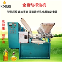 凯迪机械 食用油榨油机 智能温控商用榨油设备 高产自动压榨机