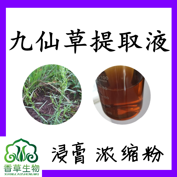 九仙草提取物黄酮101201九仙草叶粉速溶粉九仙草浓缩液