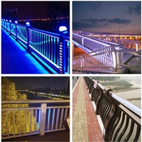 桥梁灯光护栏 灯光景观栏杆 不锈钢桥梁护栏厂 加工定做