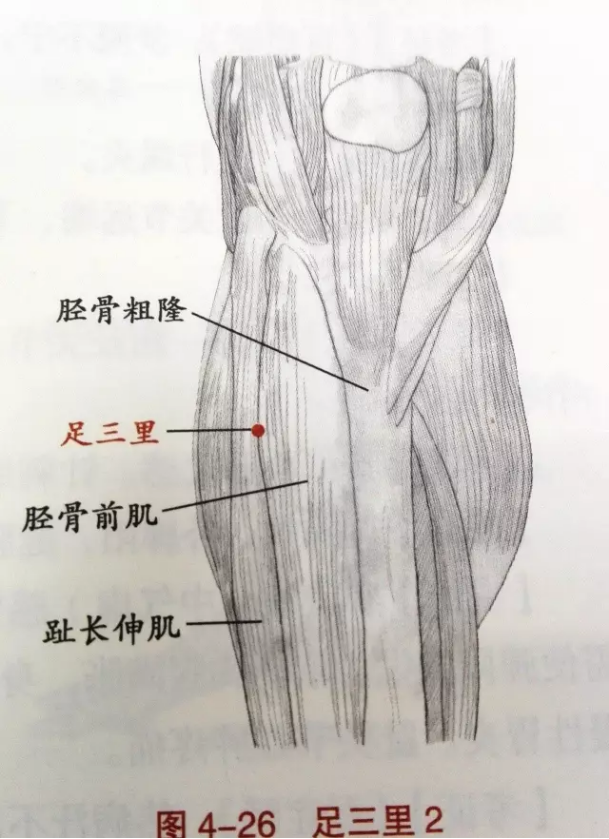 退烧针灸哪里