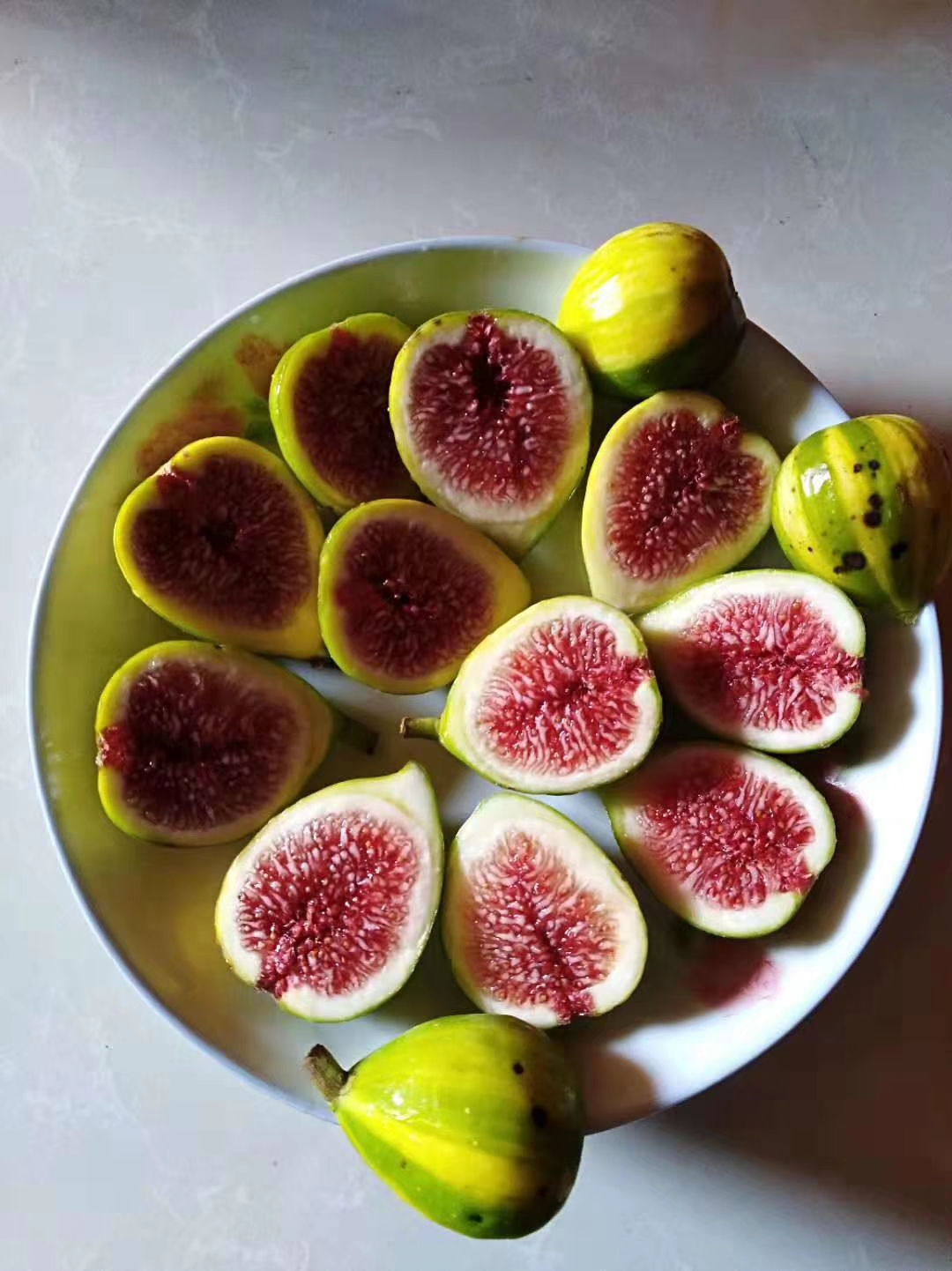 波姬红无花果苗当年坐果 乐耕农业 波姬红无花果苗耐寒抗冻