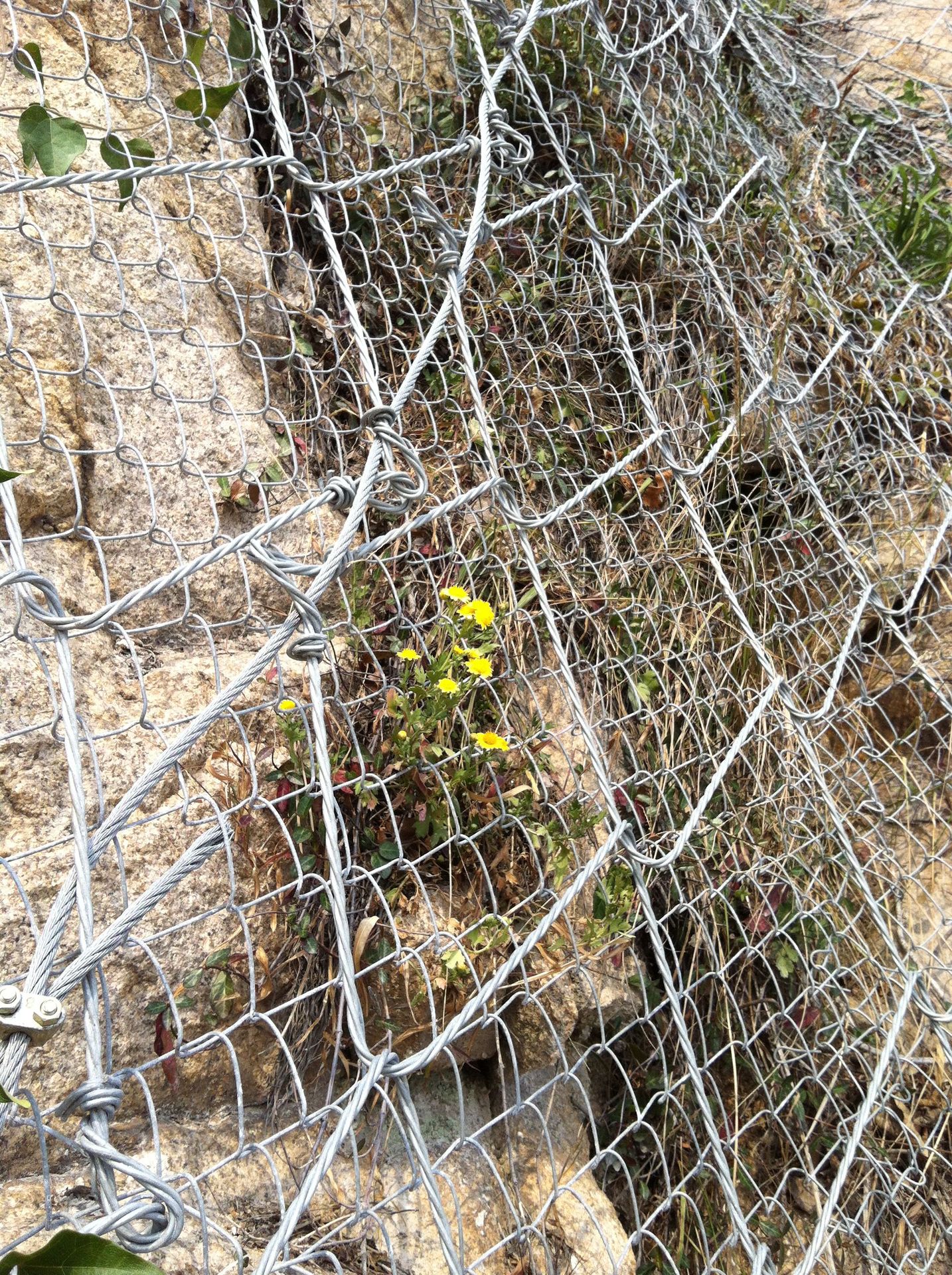 护坡网s250绞索网spider边坡稳定系统