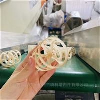 50mm直径规格PVDF鲍尔环填料