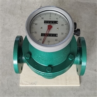 DN25椭圆齿轮流量计