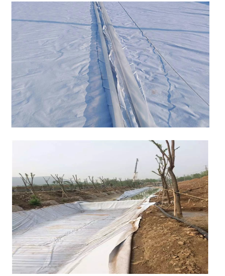 厂家定制 鱼塘两布一膜复合土工膜HDPE材质防水防护人工湖防渗土工布
